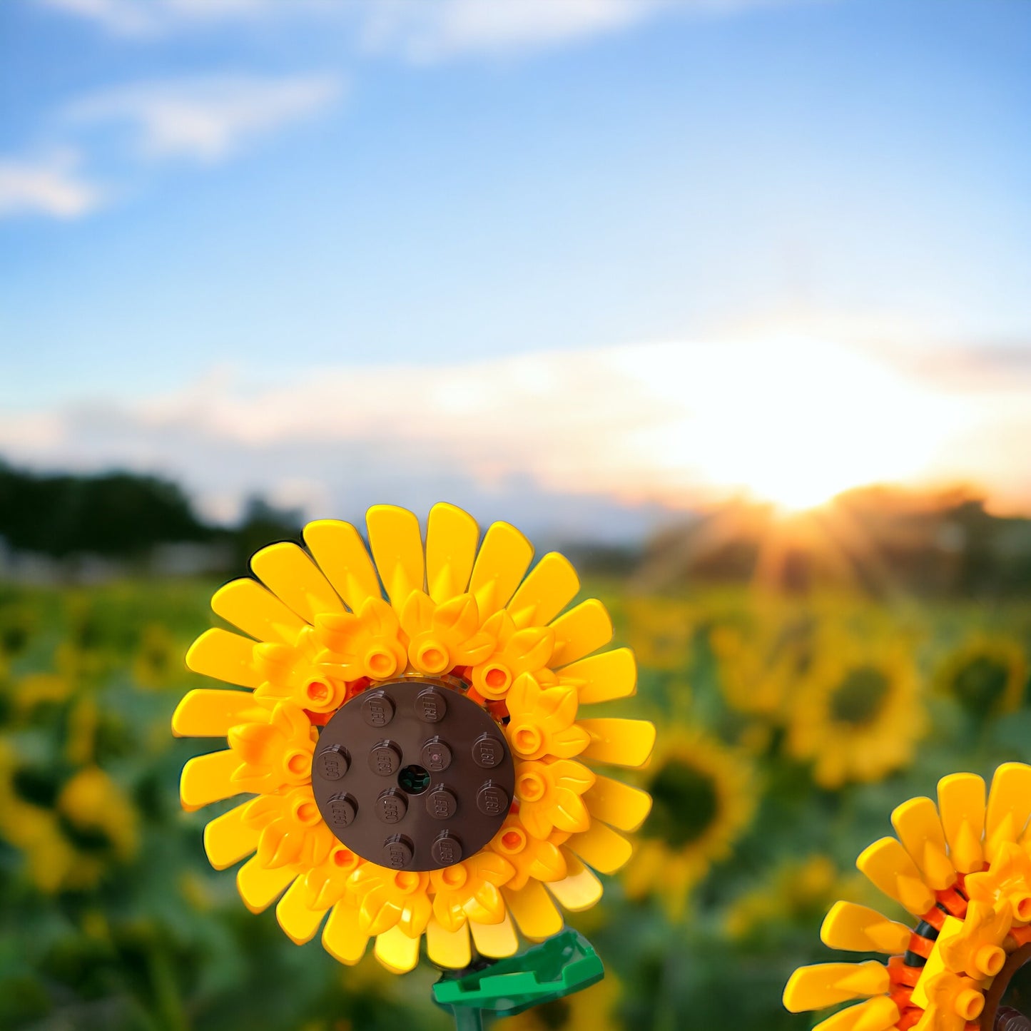 Lego® Workshop - MYO Flowers